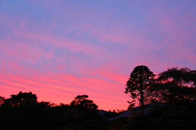 仙郷楼の庭園_秋004