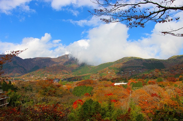 仙郷楼の庭園_秋006