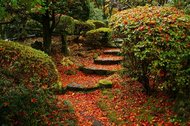 仙郷楼の庭園_秋014