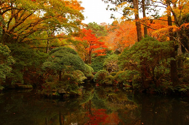 仙郷楼の庭園_秋019