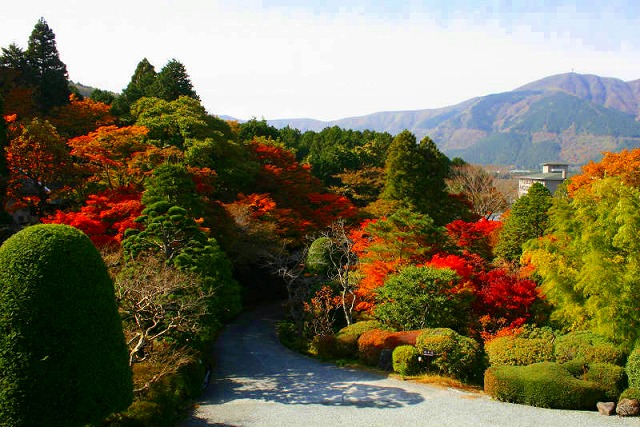 仙郷楼の庭園_秋021