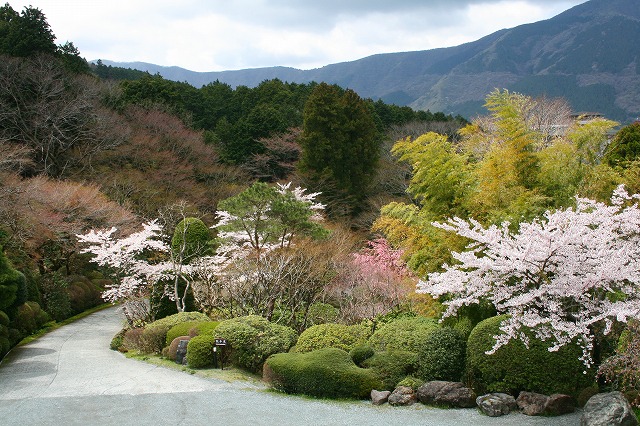 仙郷楼の庭園_春004