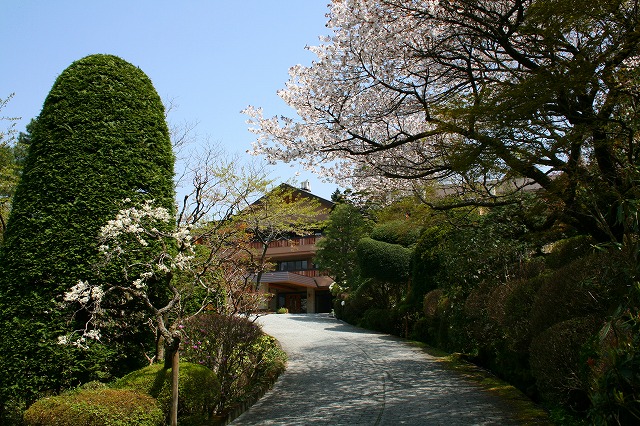 仙郷楼の庭園_春007
