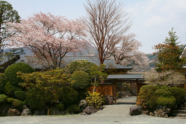 仙郷楼の庭園_春017