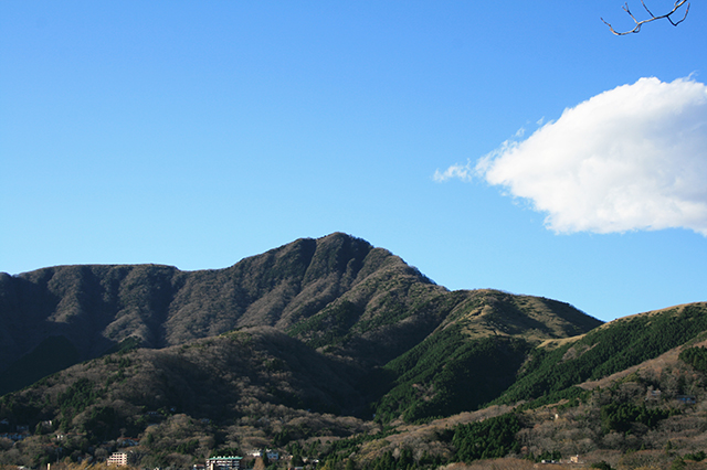 仙郷楼の庭園_春032