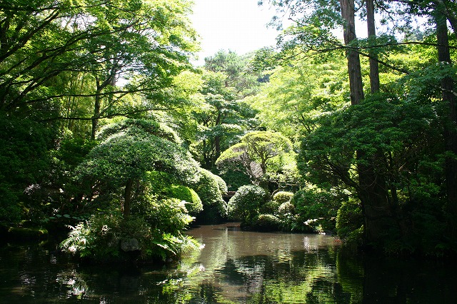 仙郷楼の庭園_夏004