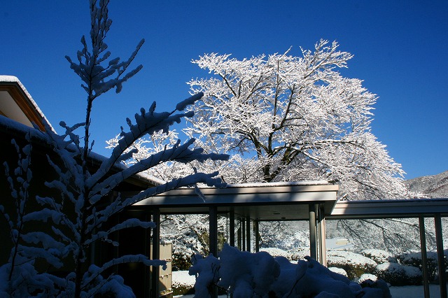 仙郷楼の庭園_冬005