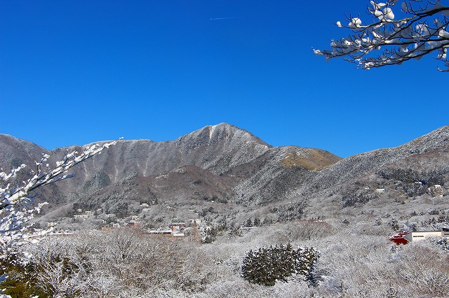 仙郷楼の庭園_冬008
